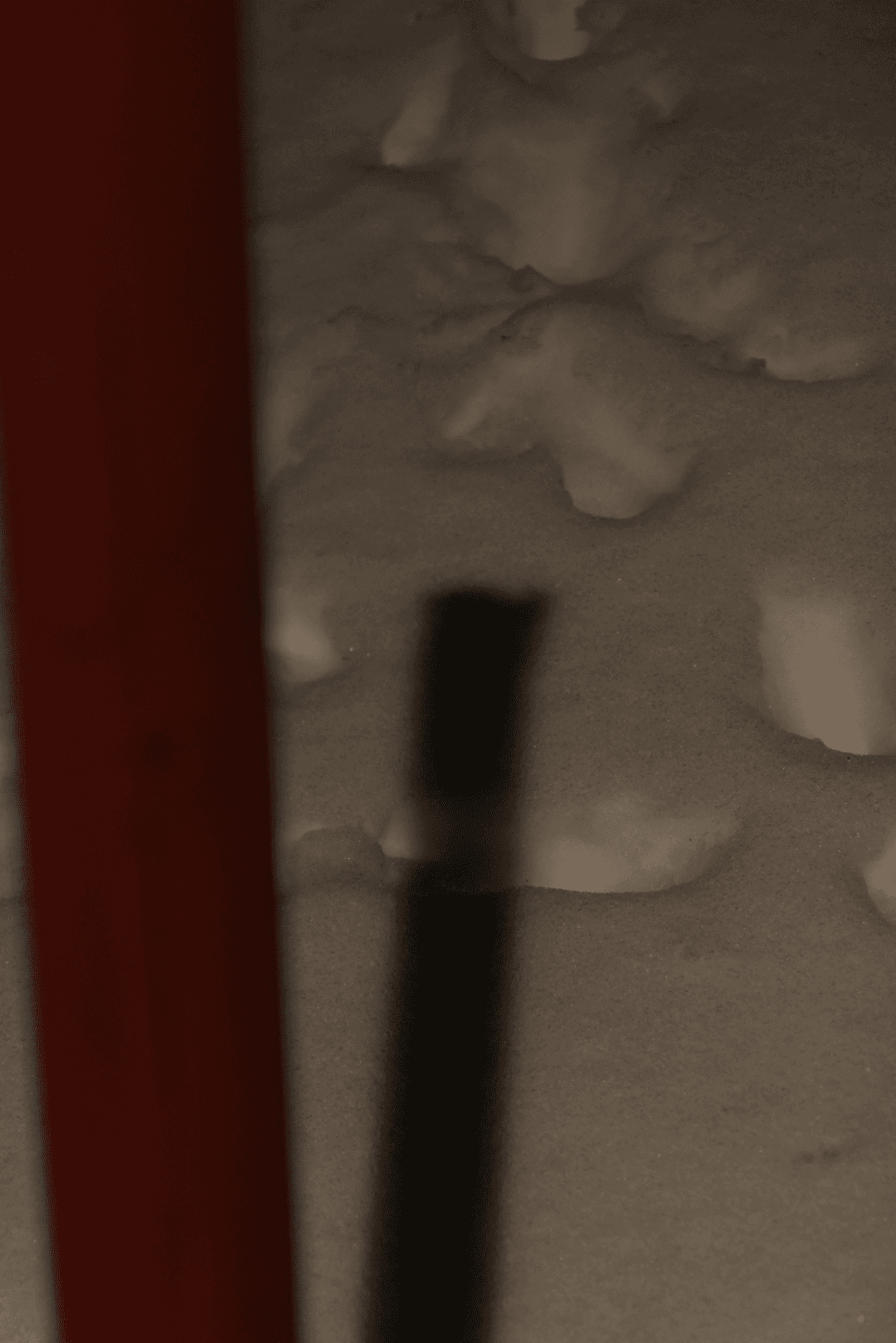 _MG_8906.png