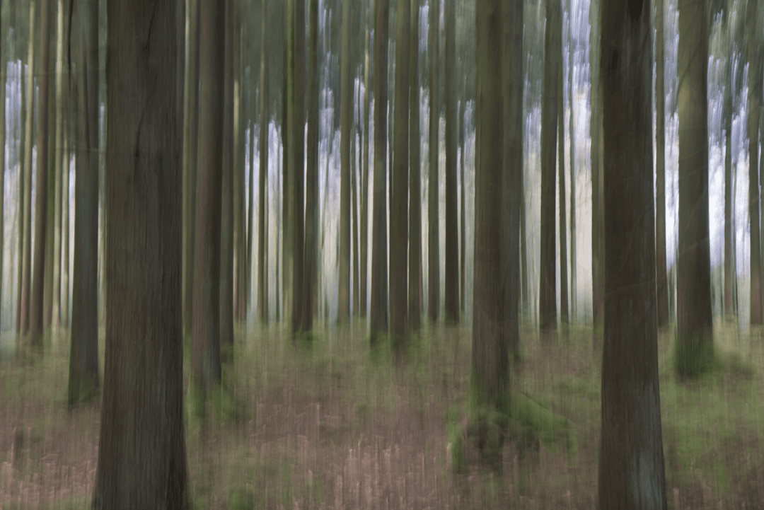 _MG_9194.png