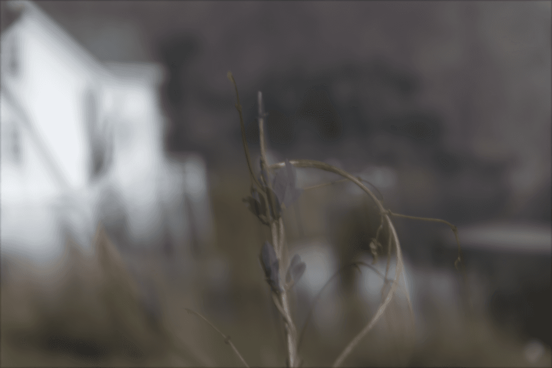 _MG_9553.png