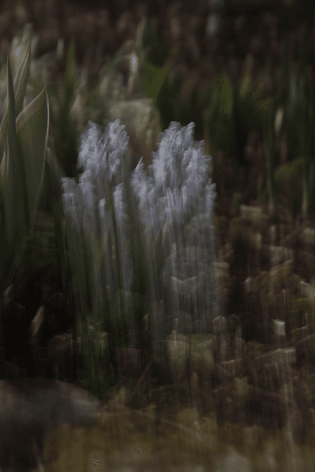 _MG_9565.png