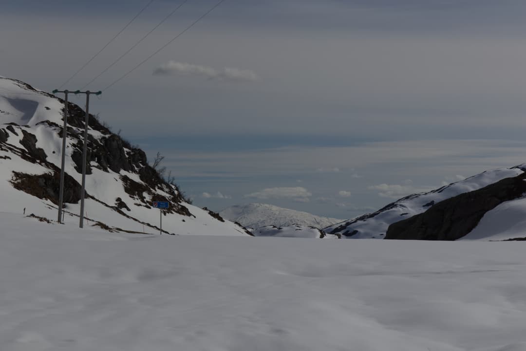 _MG_9873.jpg