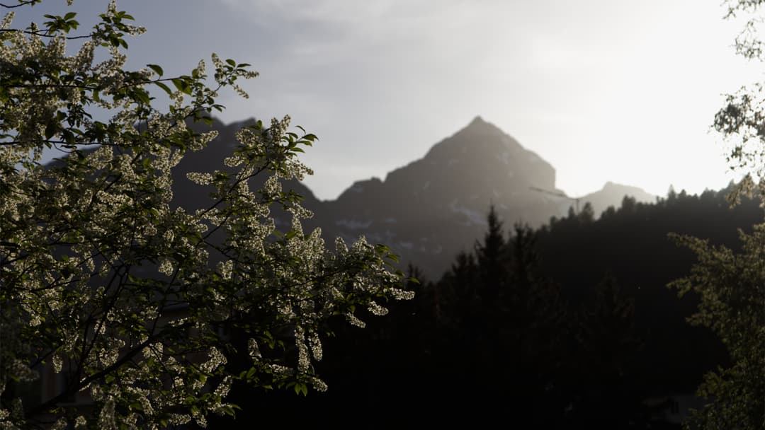 _MG_9931.jpg