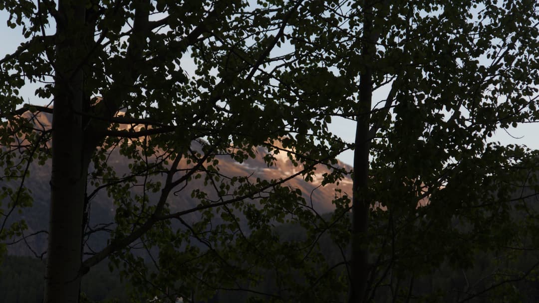 _MG_9942.jpg