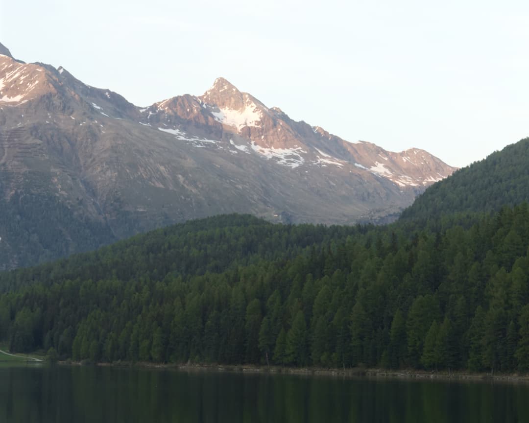 _MG_9943.jpg