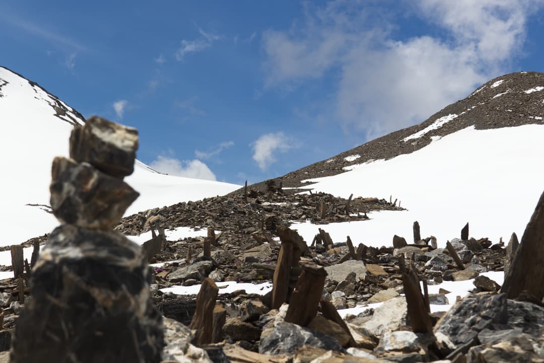 _MG_0006.jpg