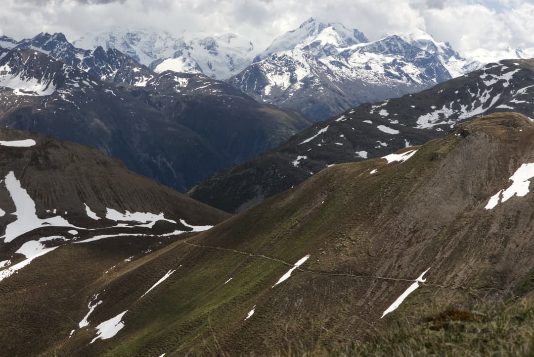 _MG_0008.jpg