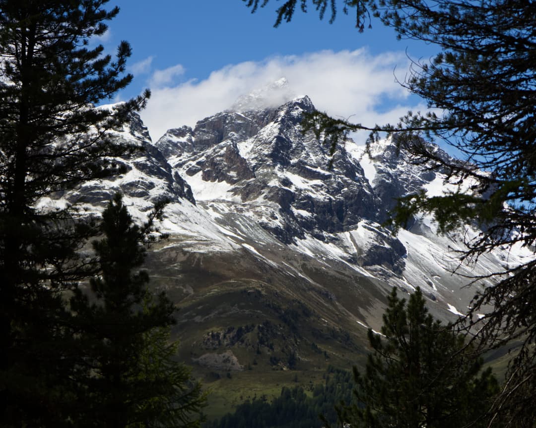 _MG_9964.jpg