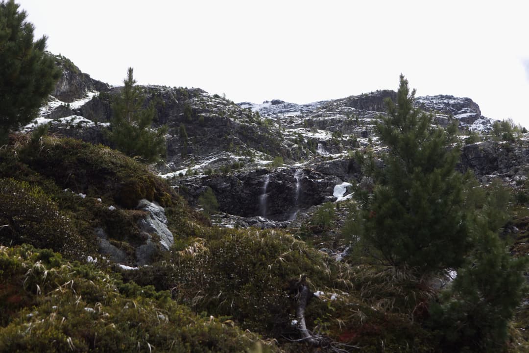 _MG_9965.jpg